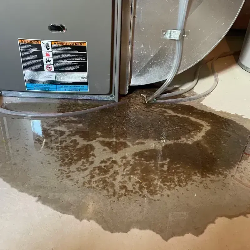 Appliance Leak Cleanup in Murray County, GA